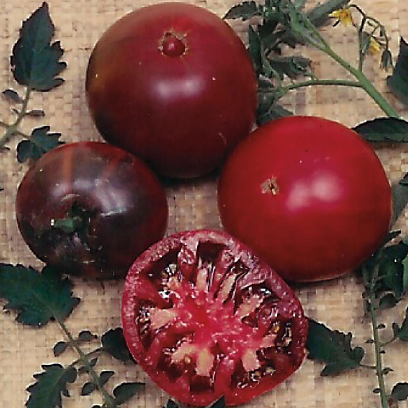 Black Krim Tomato Main Image